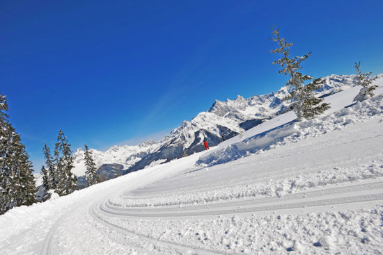 Langlaufen - Winter- & Skiurlaub in Radstadt, Ski amadé