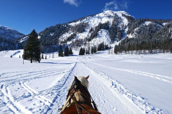 Pferdeschlittenfahrten - Winter- & Skiurlaub in Radstadt, Ski amadé