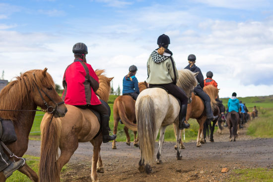 Reiten im Sommerurlaub in Radstadt, Salzburger Land